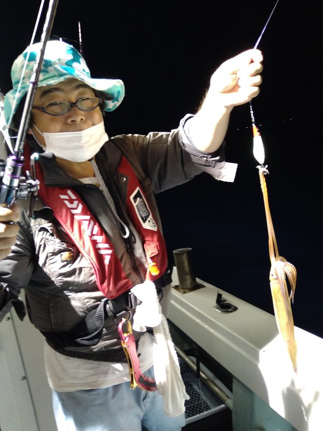 ケンサキ(ケンサキイカ)