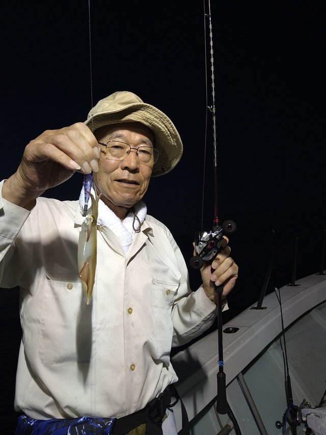 ケンサキ(ケンサキイカ)