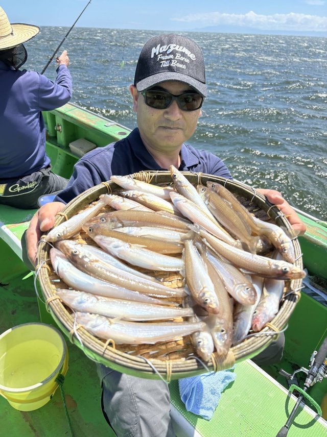 キス(シロギス)