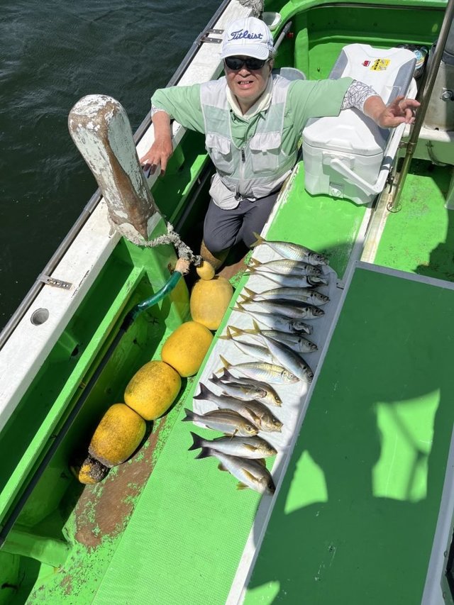 アジ(マアジ)・イサキ