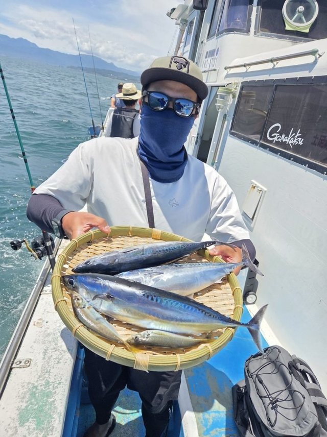 アジ(マアジ)・ショゴ(カンパチ)・ソウダガツオ(ヒラソウダ)