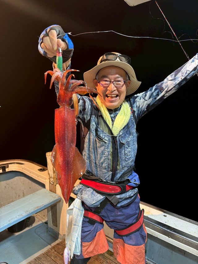 マイカ(ケンサキイカ)