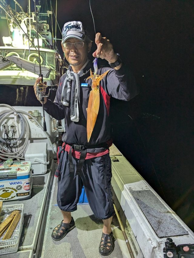 イカ(ケンサキイカ)