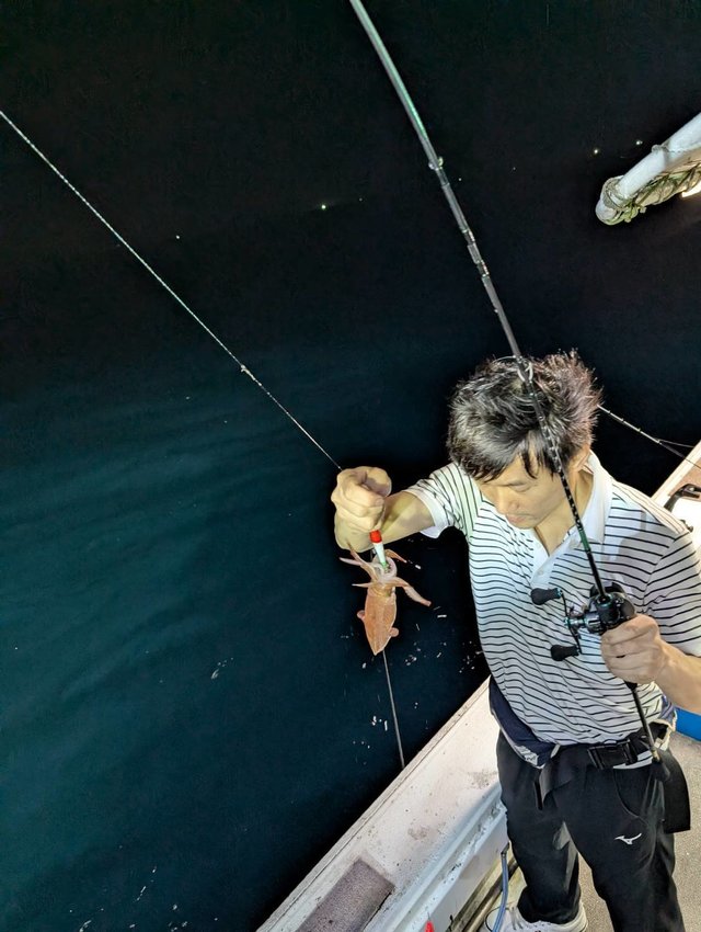 イカ(ケンサキイカ)