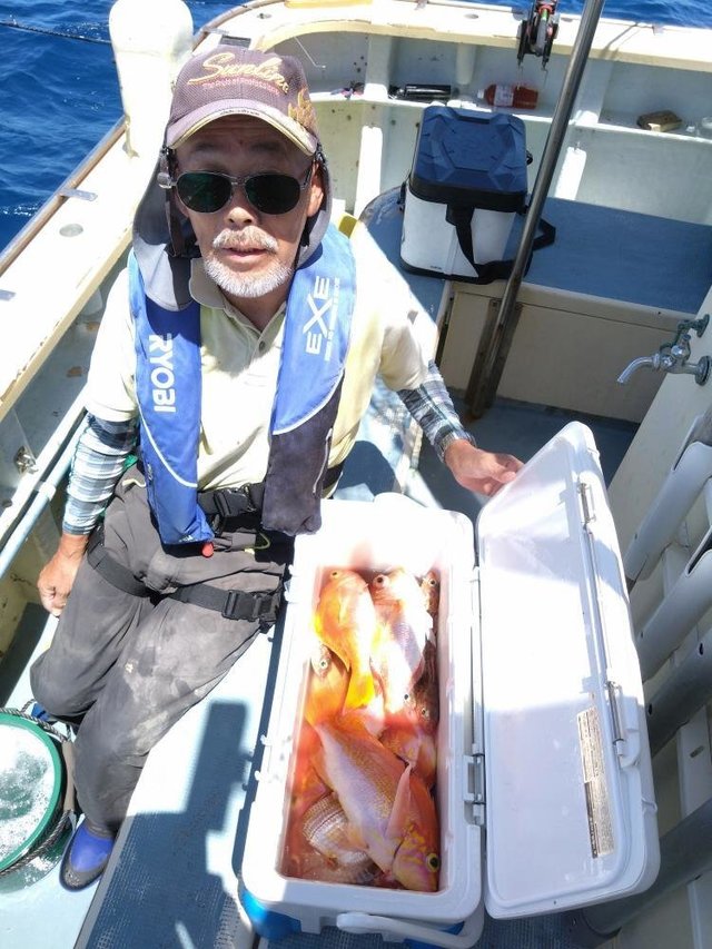 レンコダイ(キダイ)