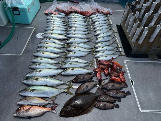 マダイ・マハタ・ハマチ(ブリ)・カサゴ・ヒラメ