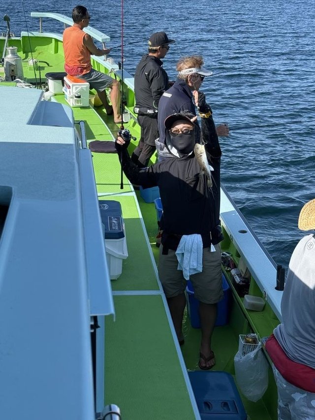 フグ(ショウサイフグ)