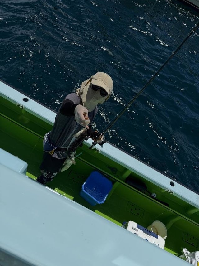 フグ(ショウサイフグ)