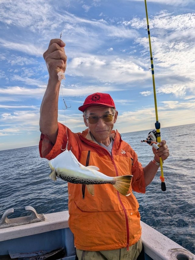 ショウサイフグ