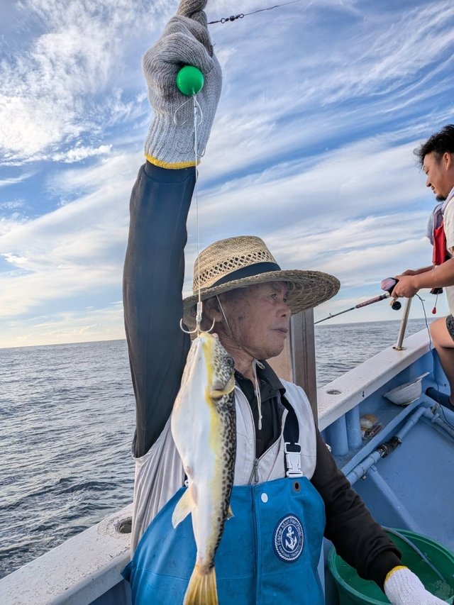 ショウサイフグ