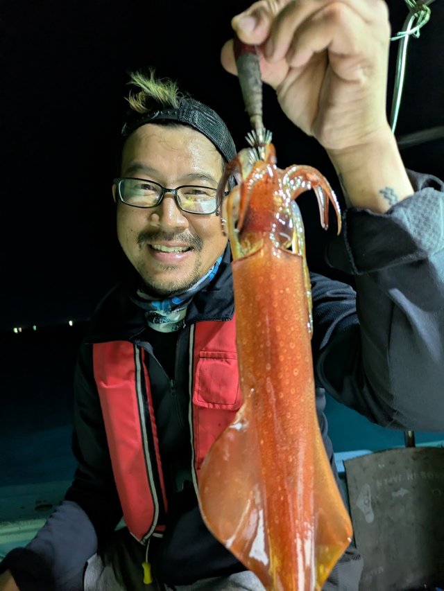 イカ(ケンサキイカ)