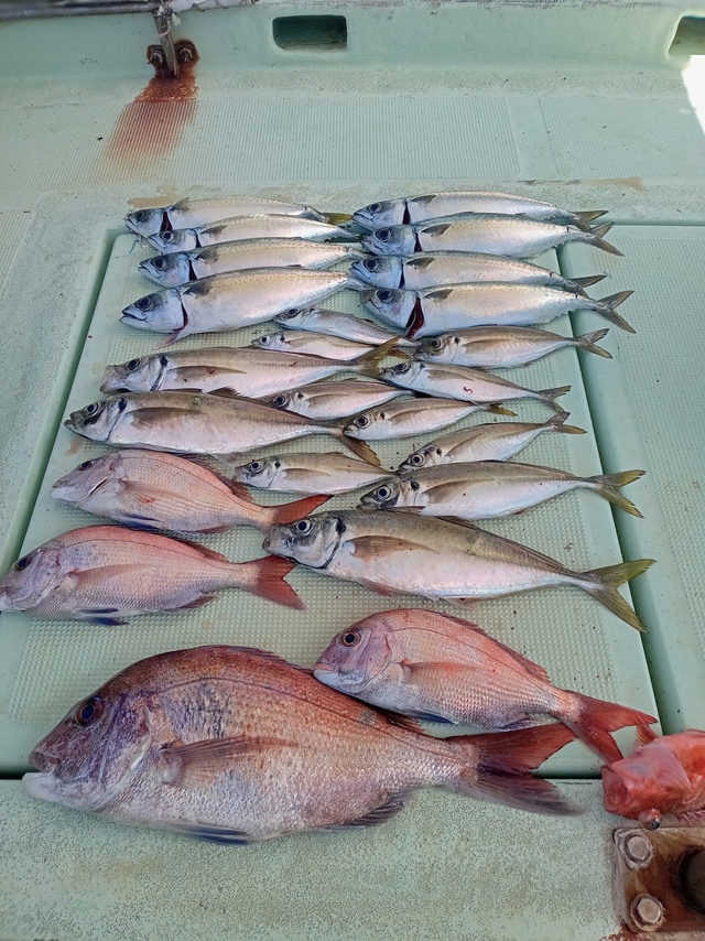 マダイ・マアジ・サバ(マサバ)