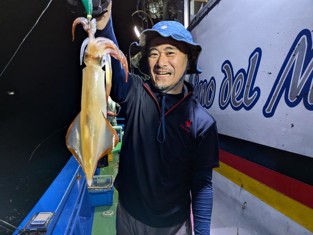 マイカ(ケンサキイカ)