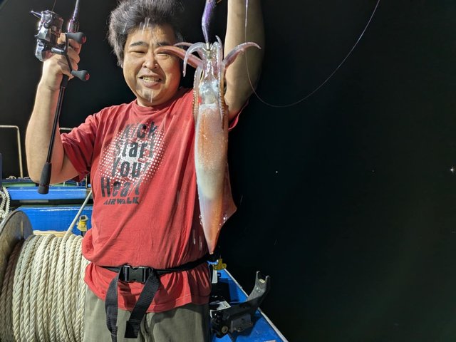 マイカ(ケンサキイカ)