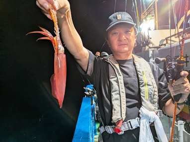 マイカ(ケンサキイカ)