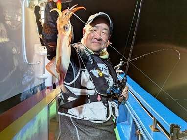 マイカ(ケンサキイカ)