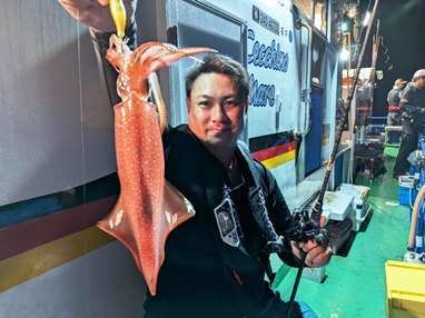 マイカ(ケンサキイカ)