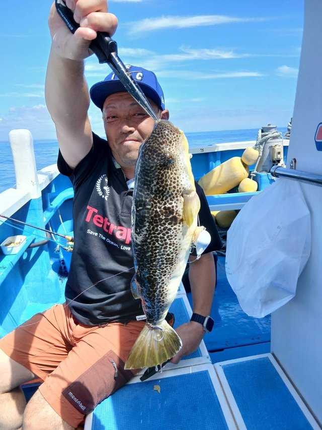 フグ(ショウサイフグ)