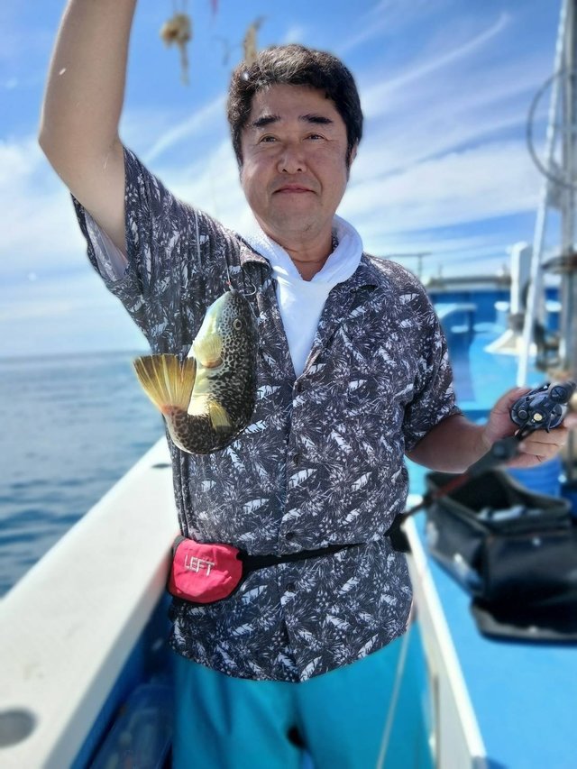 フグ(ショウサイフグ)