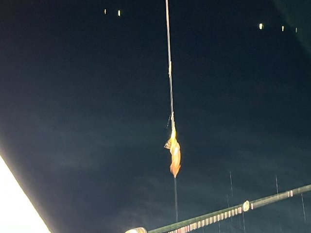 イカ(ケンサキイカ)