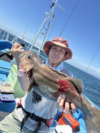 イシナギ(オオクチイシナギ)