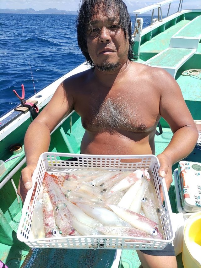 マルイカ(ケンサキイカ)