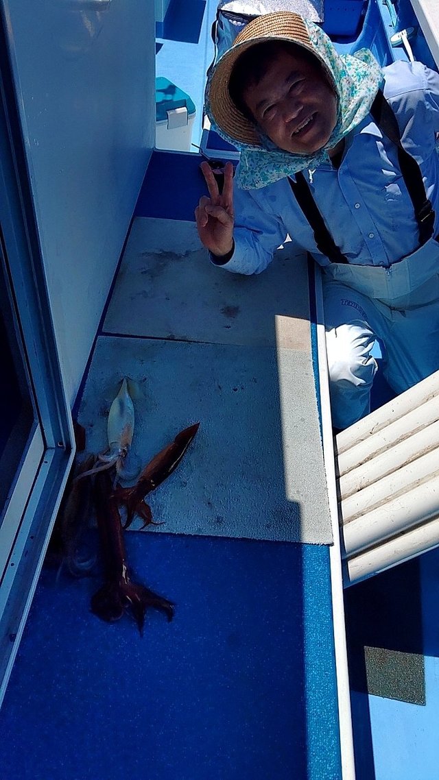 スルメ(スルメイカ)