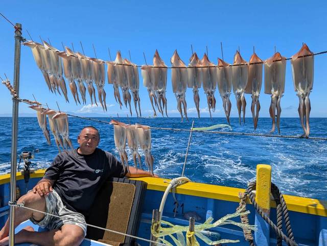 スルメ(スルメイカ)