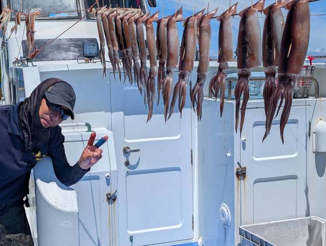 スルメ(スルメイカ)