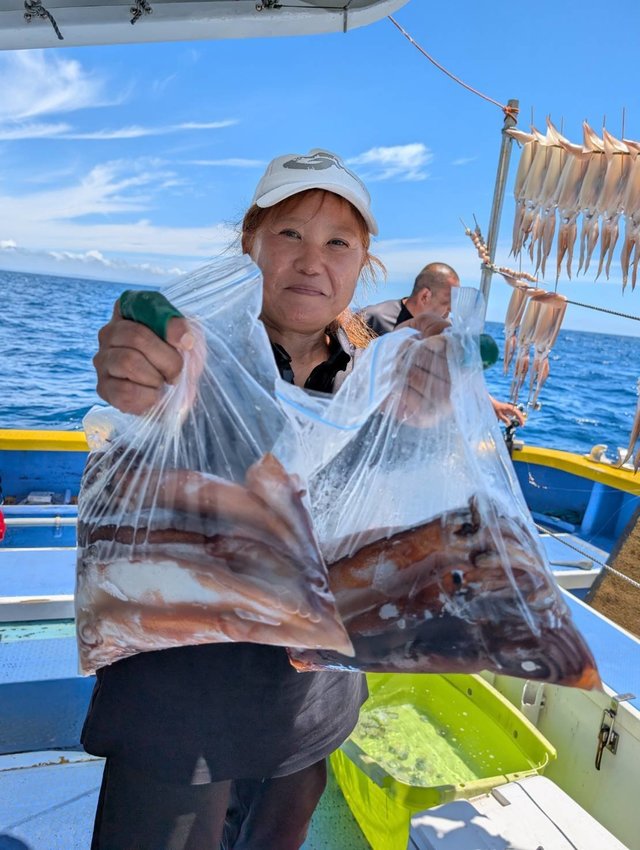 スルメ(スルメイカ)