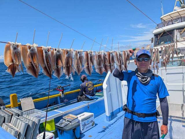 スルメ(スルメイカ)