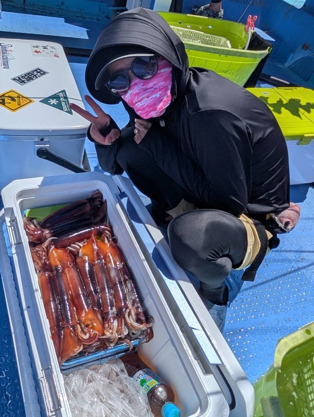 スルメ(スルメイカ)