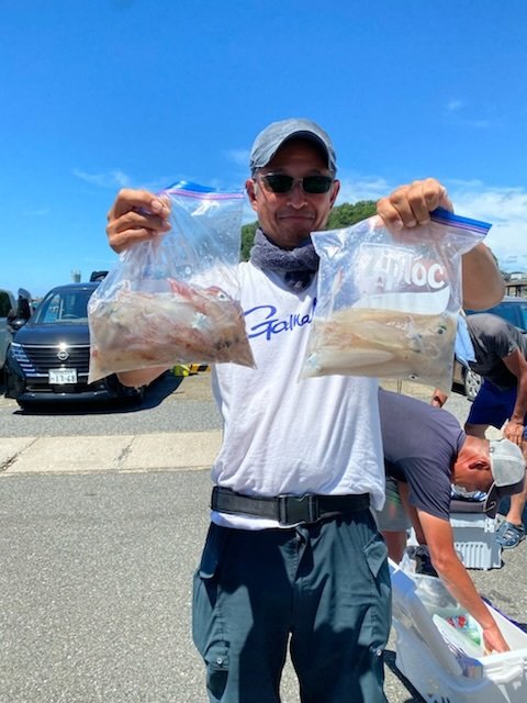 マルイカ(ケンサキイカ)