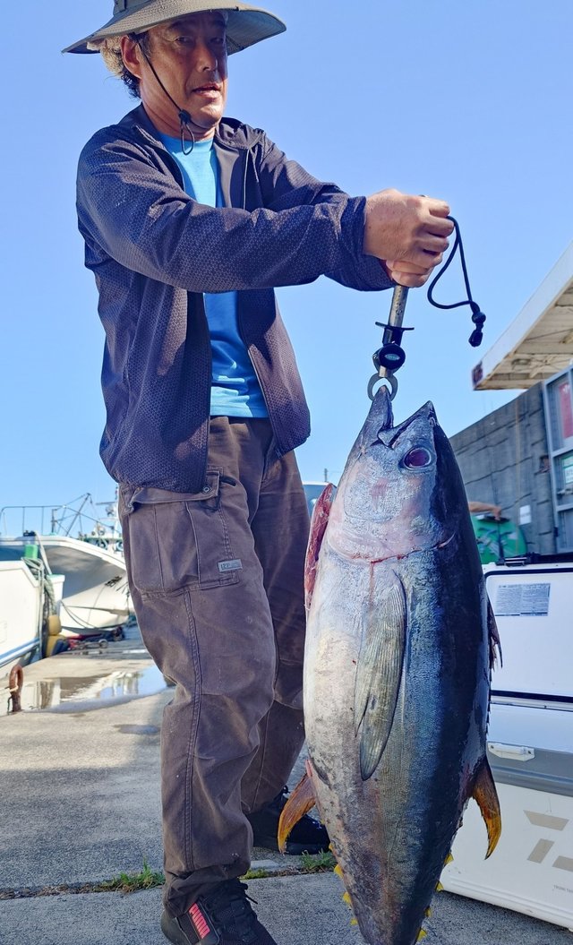 キメジ(キハダ)