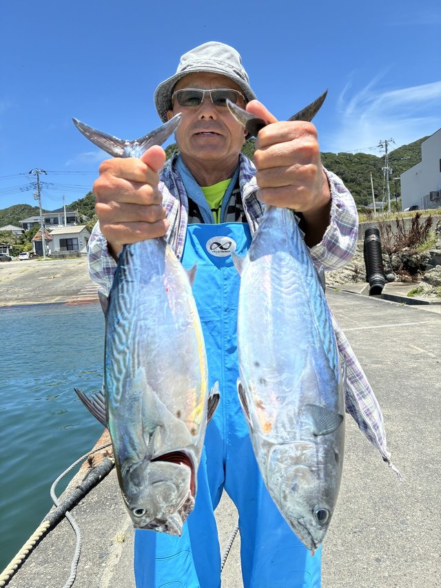 スマガツオ(スマ)