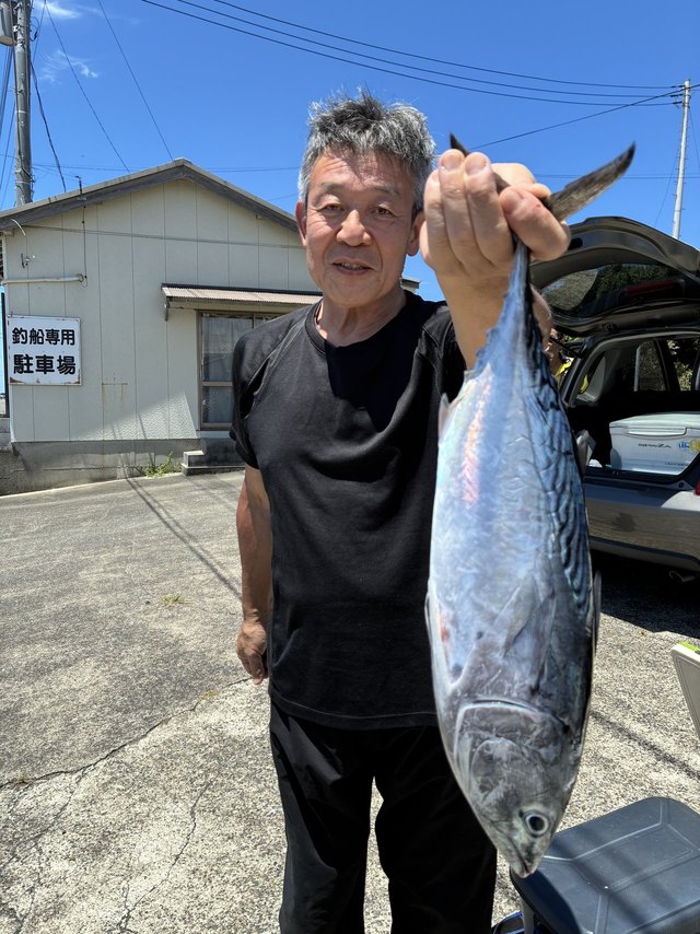 スマガツオ(スマ)