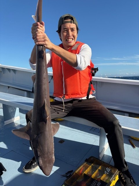 サメ(カスザメ)