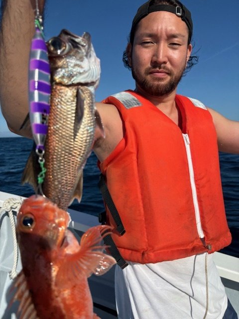 クロムツ・ユメカサゴ