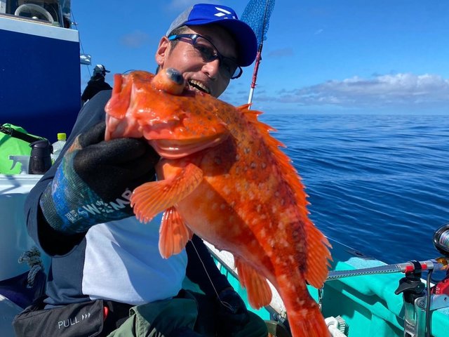 カンコ(ウッカリカサゴ)