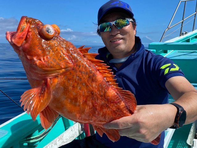 カンコ(ウッカリカサゴ)