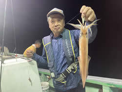 アカイカ(ケンサキイカ)