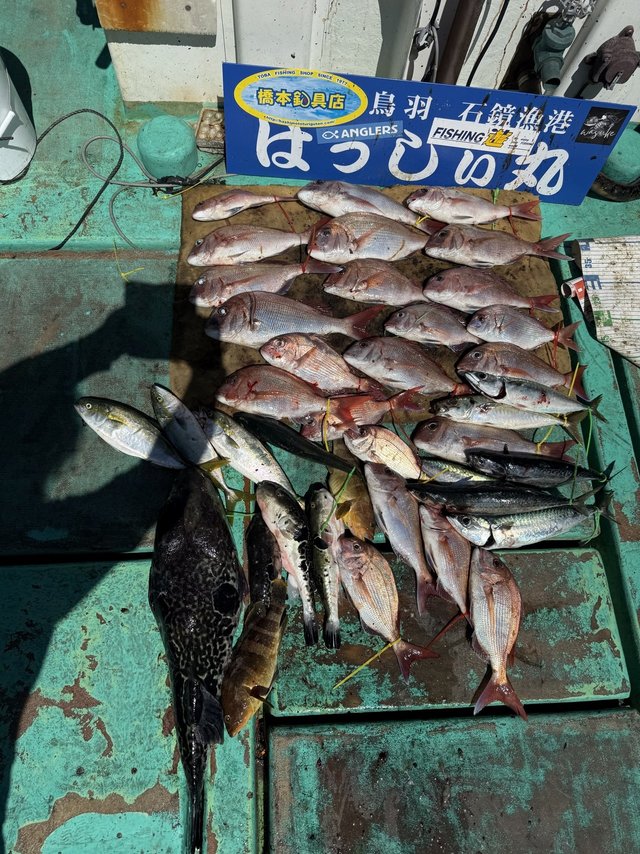 タイ(マダイ)・トラフグ