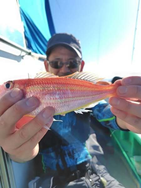 イトヨリ(イトヨリダイ)