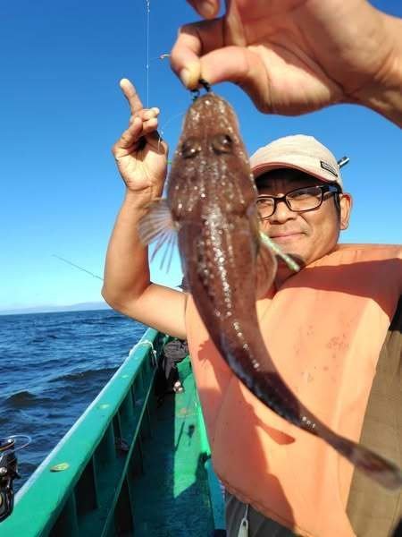 ホンゴチ(マゴチ)