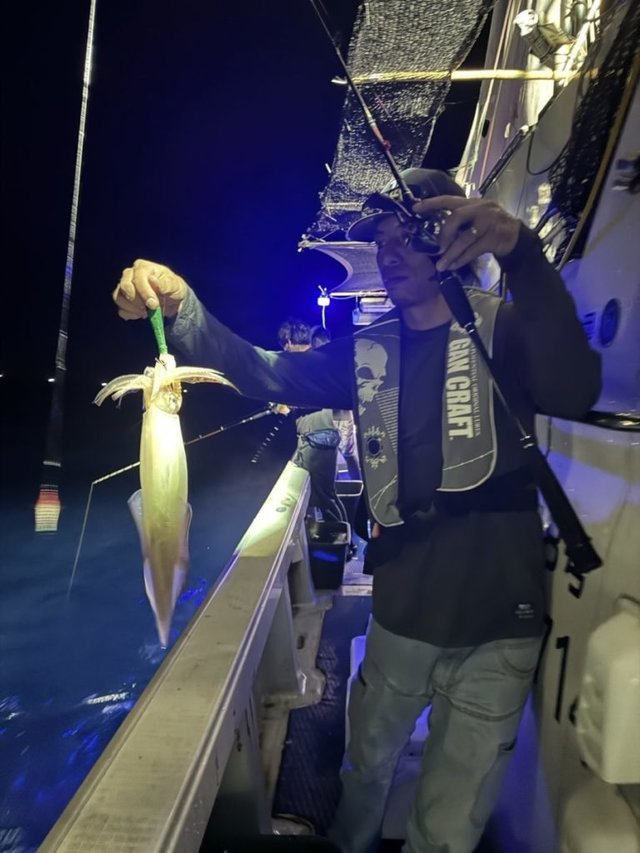 イカ(ケンサキイカ)