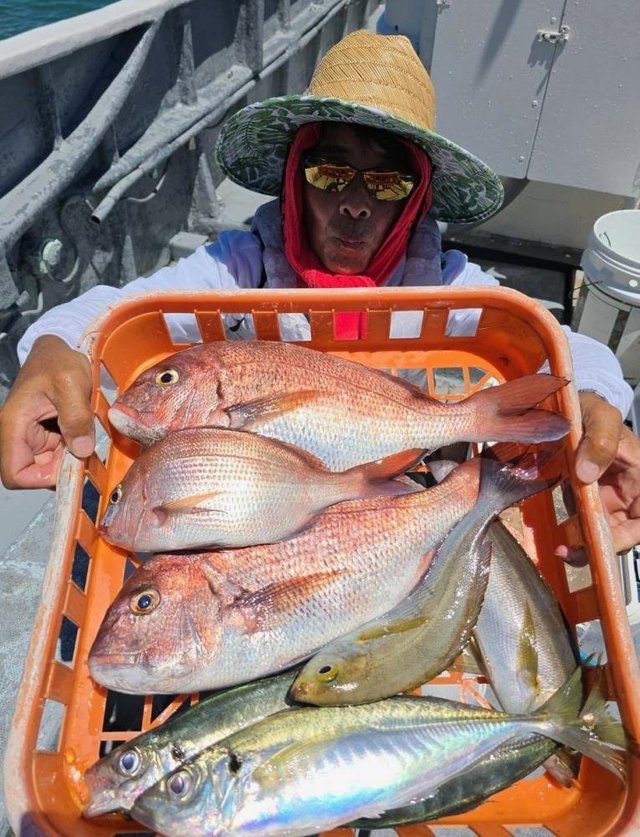 マダイ・アジ(マアジ)・イサキ