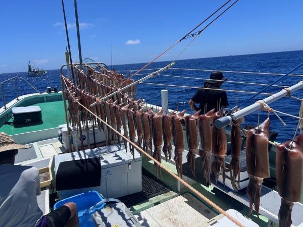 スルメ(スルメイカ)