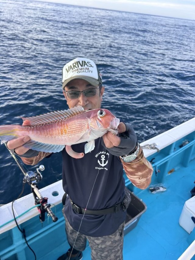 アマダイ(アカアマダイ)