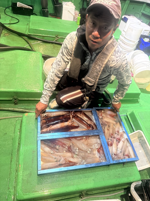 アカイカ(ケンサキイカ)・スルメイカ