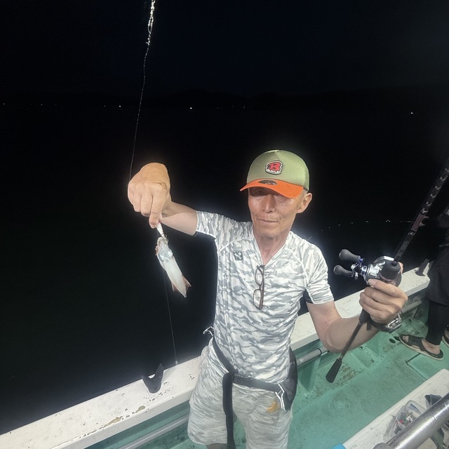 マルイカ(ケンサキイカ)